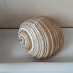 Appartamento Il Sogno Di Ele *