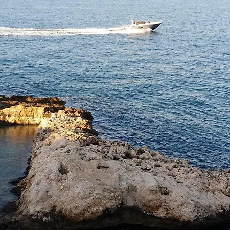 Il Sogno Di Ele
