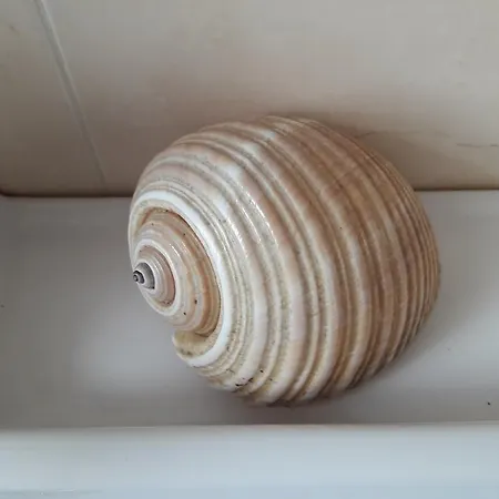Apartamento Il Sogno Di Ele *