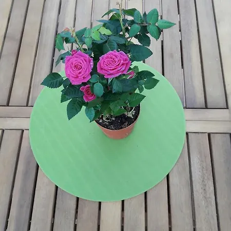 Apartman Il Sogno Di Ele *