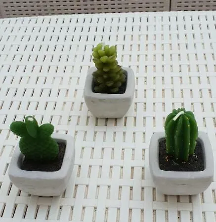 Il Sogno Di Ele * Polignano a Mare