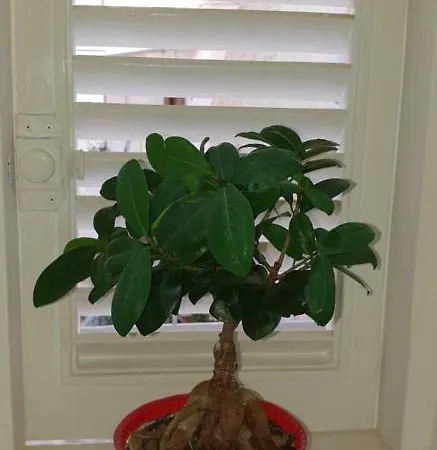 Appartement Il Sogno Di Ele Polignano a Mare