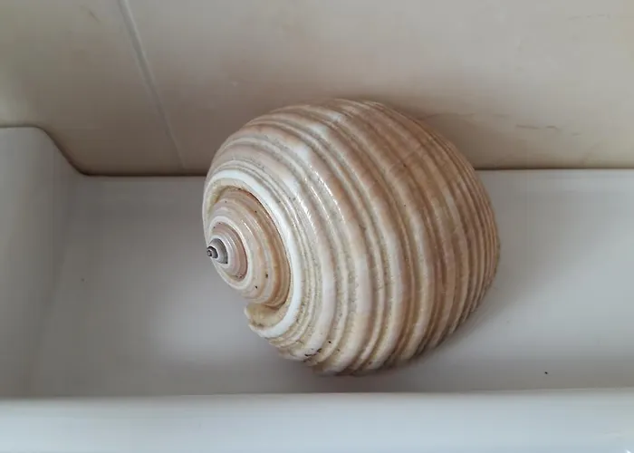 아파트 Il Sogno Di Ele *