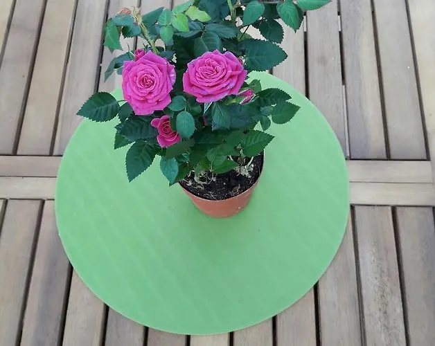 아파트 Il Sogno Di Ele *