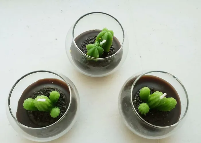 Il Sogno Di Ele 폴리나노 아마레