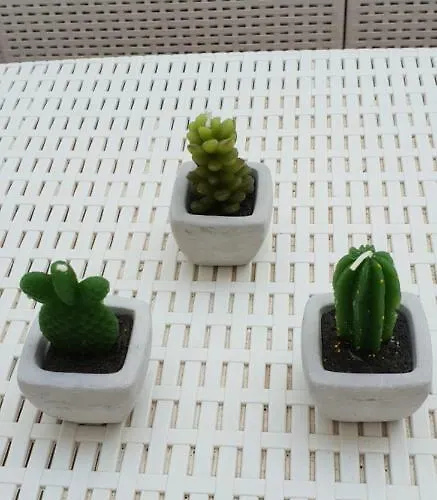 Il Sogno Di Ele * 폴리나노 아마레