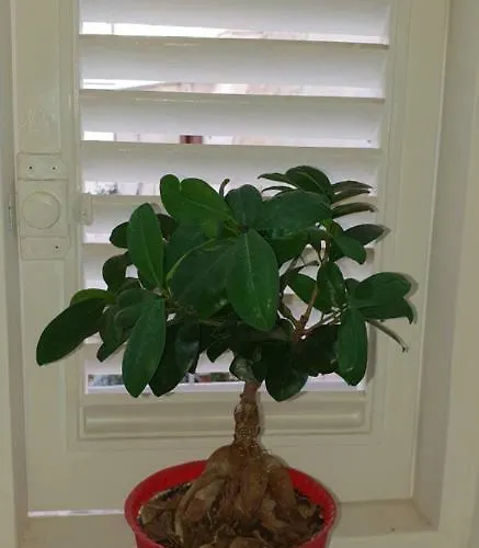 아파트 Il Sogno Di Ele 폴리나노 아마레