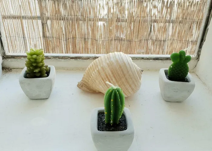 Il Sogno Di Ele פולינאנו א מארה